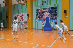 校对篮球训练和篮球班的训练有什么不同